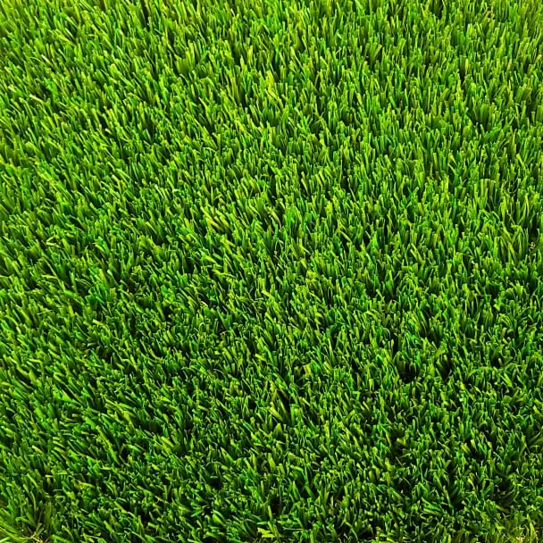 Spring Blade Turf